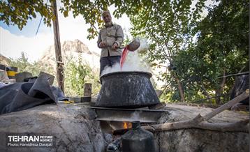 یـاقوت سرخ  29