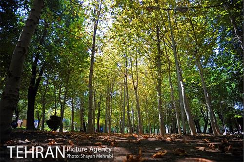 بوستان تمدن (گلبرگ) 11