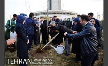 کاشت شش نهال درخت زیتون با حضور کارگرداران سینمای ایران 18