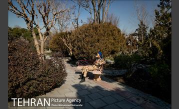 روزهای آفتابی پارک لاله 2