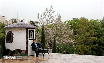 بارش باران بهاری در تهران - 2 35