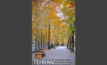 پاییز در بوستان ملت 2