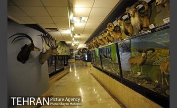 موزه حیات وحش پردیسان 23