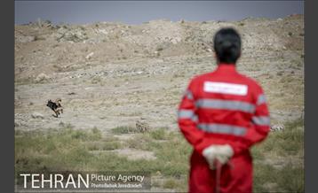 سگ های آنست 9