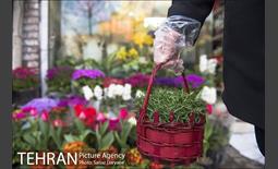 روزهای پایانی سال 19