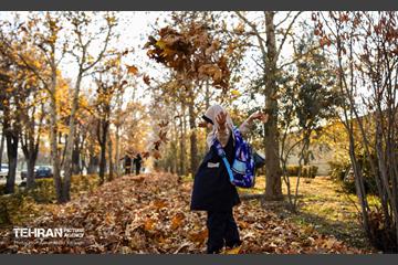 گذرگاه های پاییزی پایتخت - منطقه 14