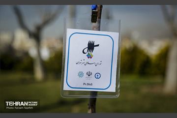 آیین درختکاری در منطقه‌5 33