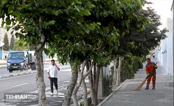 رفت‌وروب پایتخت 52