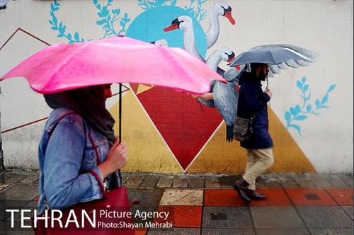 بارش باران بهاری در تهران  19