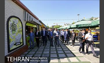 آیین احیای بوستان اکو 5