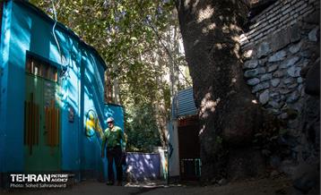 شهرنگار؛ درکه 39