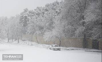 بارش اولین برف زمستانی در تهران 15