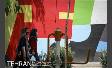 دیوارهای چشم نواز در منطقه 8