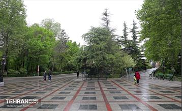 بارش باران بهاری در تهران - 2 41