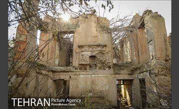 تاریخ رها شده؛ باغ کیهانی 23