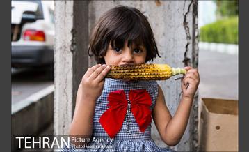 شیر بلال تابستان 23