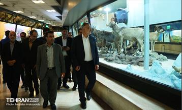 بازدید شهردار تهران از مجموعه پارک پردیسان 17