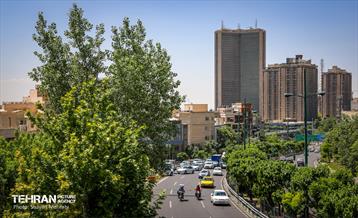 بی قانونی؛ تخلف جناغی 34