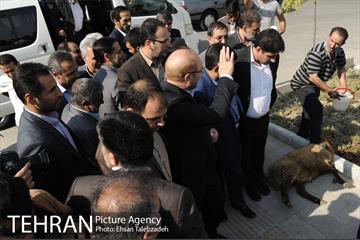 آیین افتتاح و بهره برداری از مسجد ٧٢ تن و یادمان ٦ شهید گمنام 9