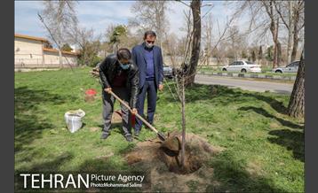 جشن نهال هاى کوچک شهر و تخم مرغ هاى رنگى در منطقه ٩