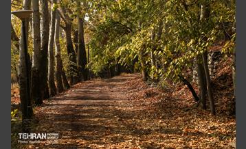 آخرین روزهای پاییزی  19