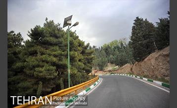 پارک جنگلی لویزان‎ 20