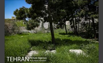 گورستان ده ونک 12