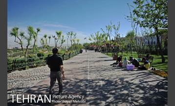 بوستان نهج البلاغه 15