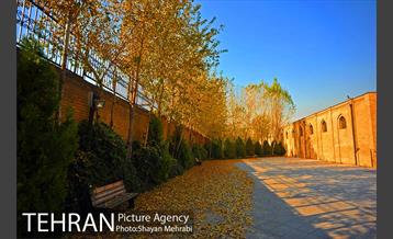 پاییز باغ موزه قصر 4