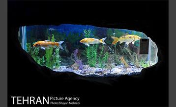 موزه حیات وحش هفت چنار 45