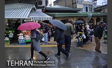 بارش باران در تهران 5