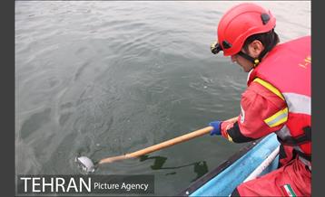 سقوط یه فروند بالگرد در دریاچه شهدای خلیج فارس 20