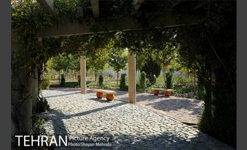 بوستان زندگی 18