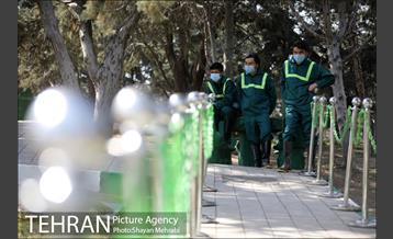 آیین کاشت نهال دوستی با حضور همسران دیپلمات مقیم ایران 10