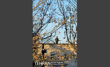 باغ موزه قصر تهران 10