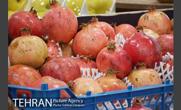 فروش ویژه شب یلدا شهروند  10