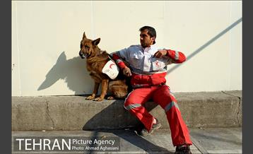 دومین روز نبرد با آوار پلاسکو -2 40