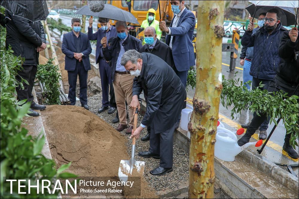 آئین کاشت درخت زندگی 18