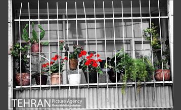 بالکن های رنگی 3