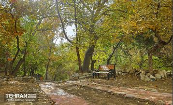 ­اکوپارک رود دره فرحزاد 55