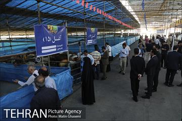 بازدید اصحاب رسانه از مراکز عرضه بهداشتی دام  17