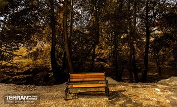 رود دره فرحزاد 8