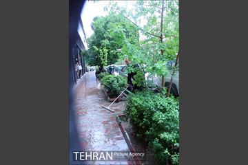 عصر بارانی تهران 10