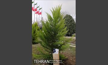 آیین درختکاری در بوستان گفتگو 16