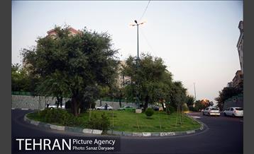 محله گیشا  29