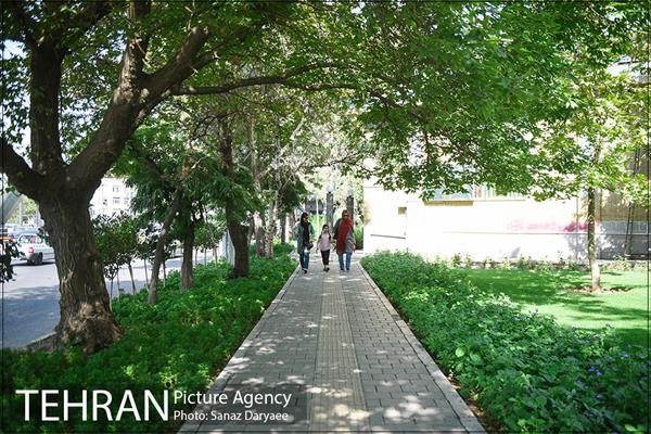 بوستان رسالت 1