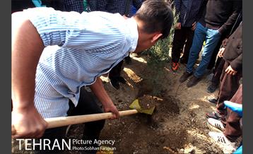 کاشت نهال در بوستان ولایت  27