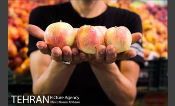 میوه های تابستانه رونق میوه فروشی ها 6