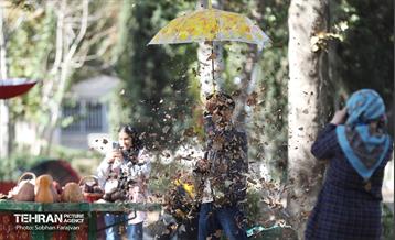 گذر پاییزی بوستان بعثت 4