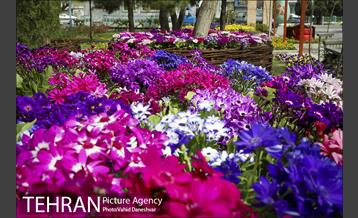 اجرای طرح استقبال از نوروز ۱۴۰۰ در منطقه 17